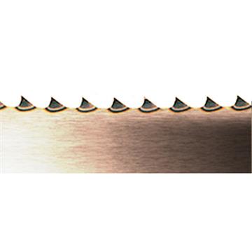 Sierra Hueso 2520x16 mm 4TPI SP